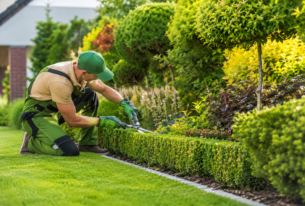 garden-maintenance-dromana